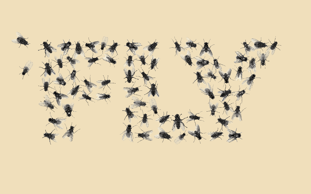 FLY A_4preview
